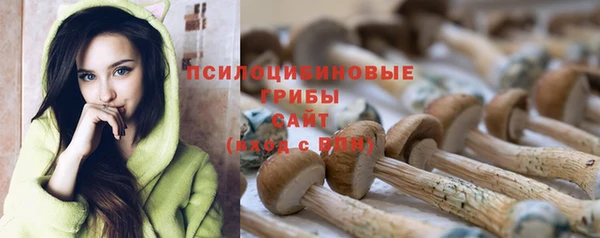 гидропоника Нея