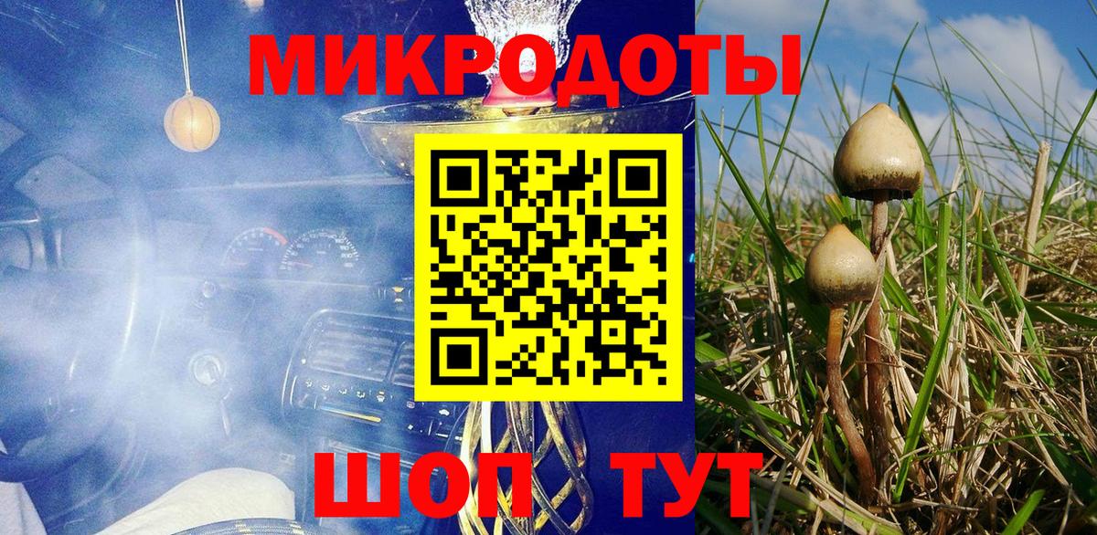 Чита  Псилоцибиновые грибы Psilocybine cubensis  цена   Вход с VPN 