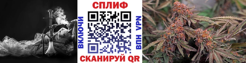 Бошки марихуана THC 21% Чита